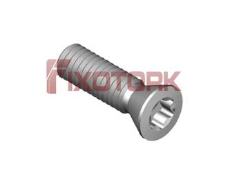 SR 117-2009 PARAFUSO