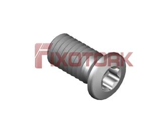 PARAFUSO TORX MOD G 35L66-G5210