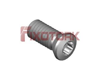 PARAFUSO TORX MOD G 50L12-G7220