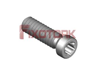PARAFUSO