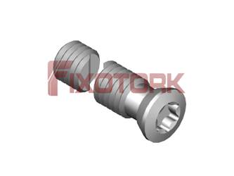 PARAFUSO TORX MOD H 50L28-H6620