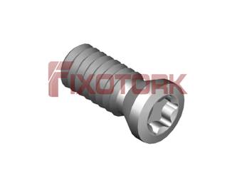 SR 34 533/L PARAFUSO