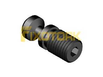 PARAFUSO ALLEN MOD AN 80L21-AN30