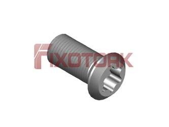 TS 31D PARAFUSO