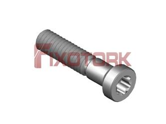 WS254013T PARAFUSO
