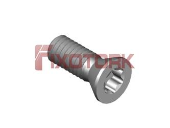 N60L90-W5715 PARAFUSO
