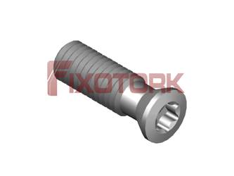 FS 1009 PARAFUSO