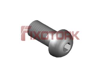 CS 6 PARAFUSO