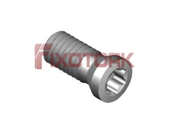 TS 32 PARAFUSO