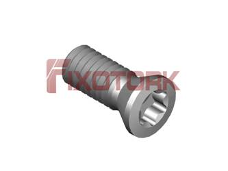 25L63-B3808 COM TORX  07 PARAF