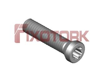 PARAFUSO TORX MOD A 35L16-A5215