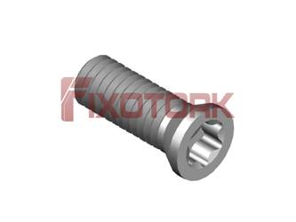 35L10-B5515/30° PARAFUSO