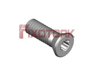 SR 14 536 PARAFUSO